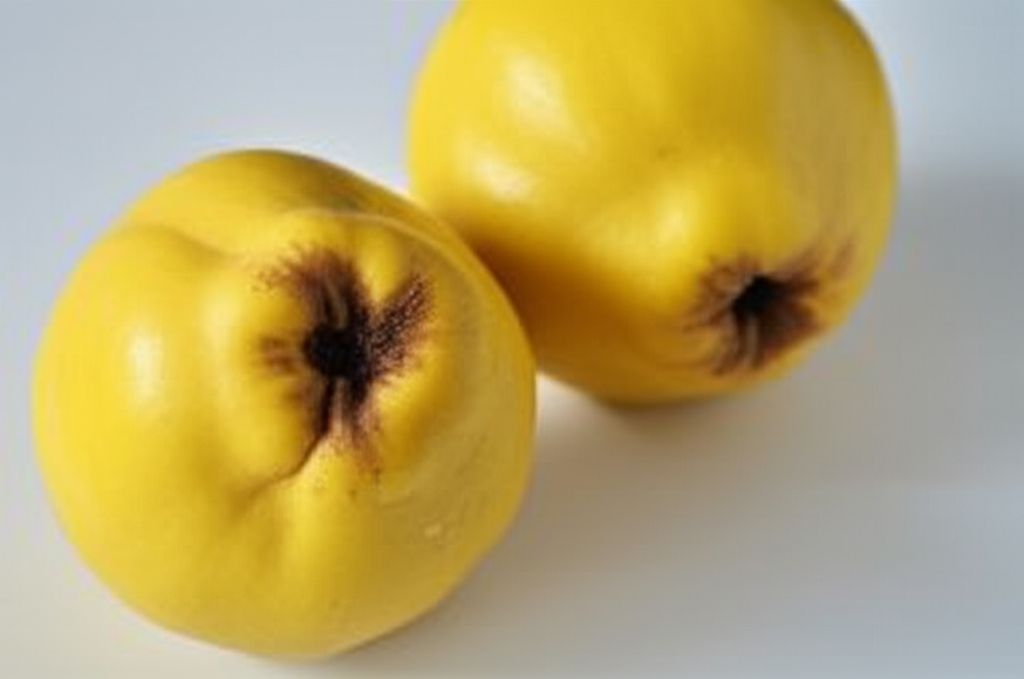 Quince Paste
