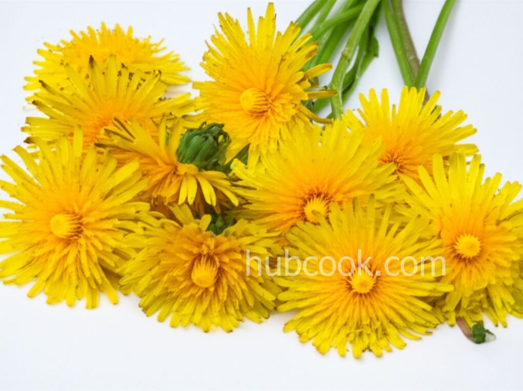 Deep-Fried Dandelions