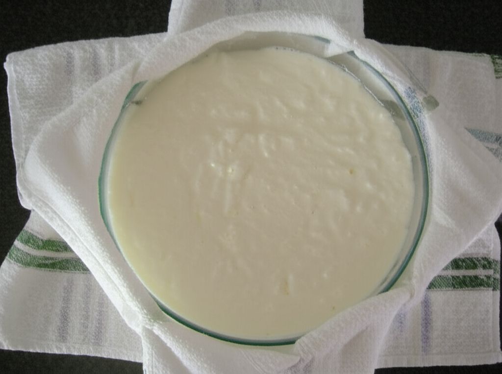 Authentic Homemade Yogurt